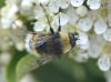 282477 – Photo : Adrien CANTAT – France (41)